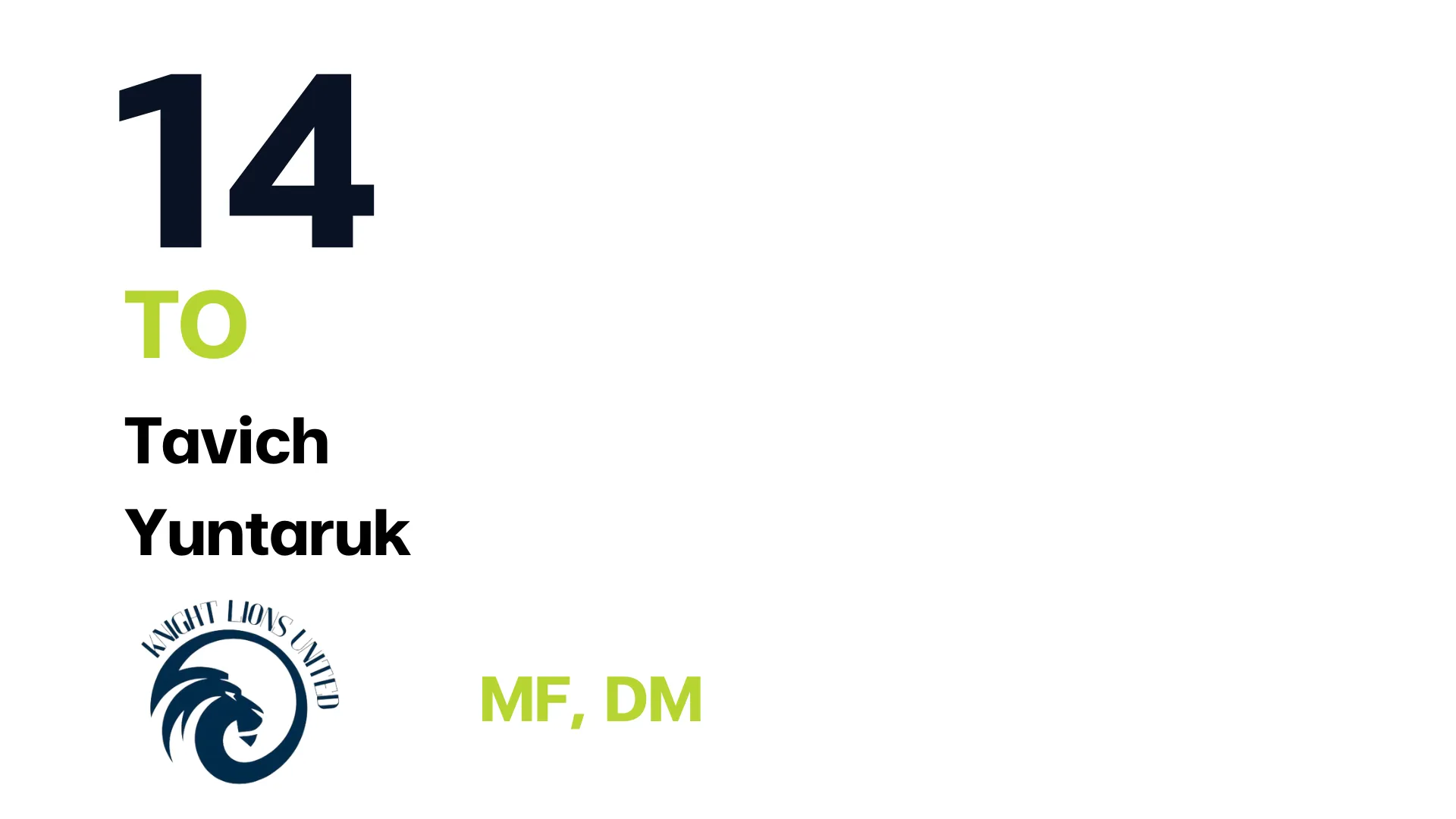 Player 5: CEO Knight Lion Team