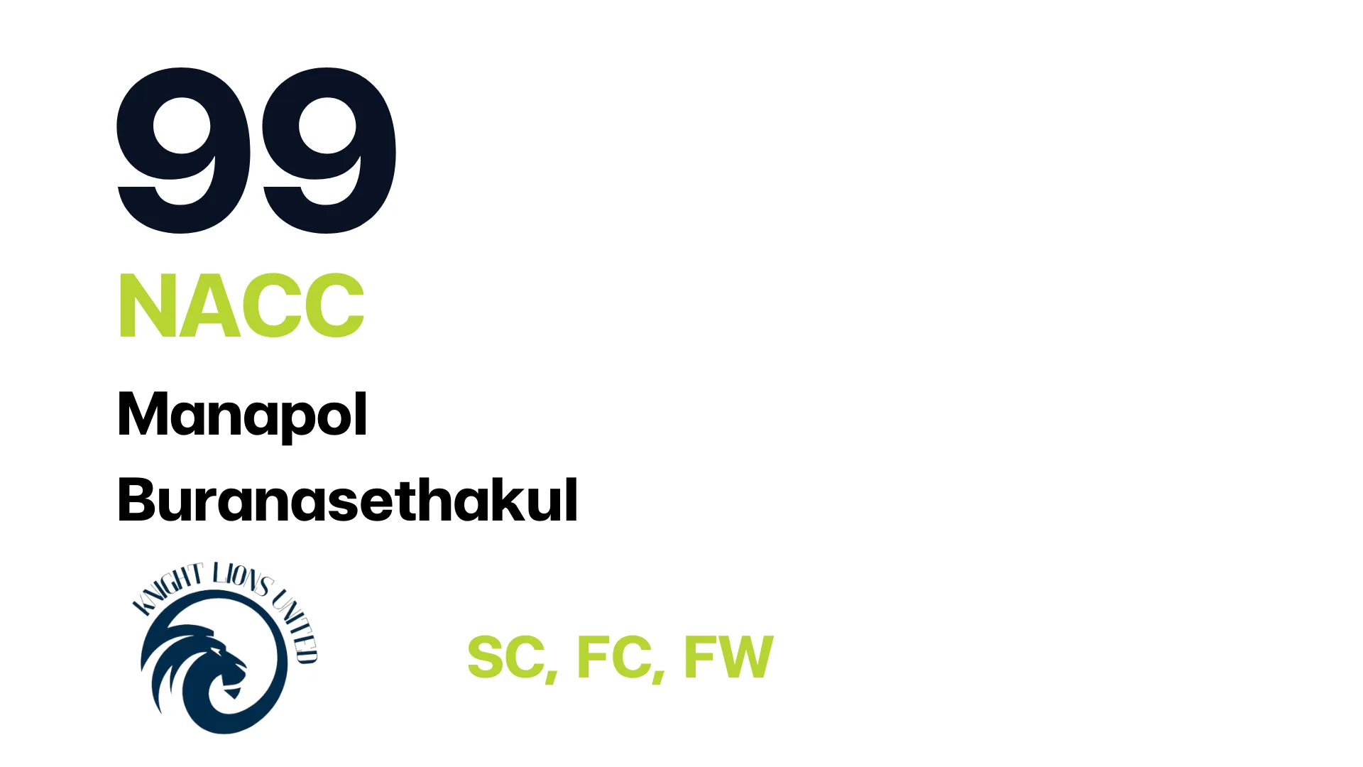 Player 17: CEO Knight Lion Team